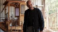 Click to watch 'Coulda Shoulda' (popup) Mr Inbetween